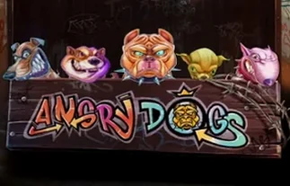 Angry Dogs